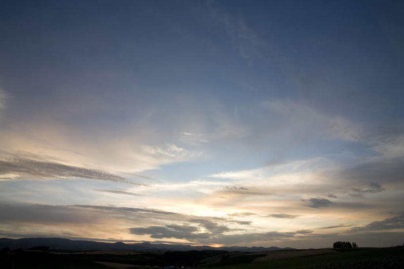 无人,农田,横图,全景,室外,白天,仰视,旅游,度假,庄稼,农作物,美景,日落,天际线,植物,北海道,日本,亚洲,朦胧,模糊,地平线,景观,晚霞,霞光,落日,辽阔,地面,背光,娱乐,树,树木,绿色,天空,自然,黄昏,天,享受,休闲,景色,彩霞,放松,生长,成长,一望无际,自然风光,延伸,逆光,东亚,日本国,天地相交,北海道地方,北海道岛,美瑛町,美瑛,夕照,夕阳,彩图,低角度拍摄,耕地,庄稼田,斜阳