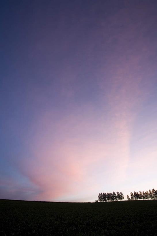 无人,农田,竖图,全景,室外,白天,仰视,旅游,度假,庄稼,农作物,美景,日落,天际线,植物,北海道,日本,亚洲,朦胧,模糊,地平线,景观,晚霞,霞光,落日,辽阔,地面,背光,娱乐,树,树木,绿色,天空,自然,黄昏,天,享受,休闲,景色,彩霞,放松,生长,成长,一望无际,自然风光,延伸,逆光,东亚,日本国,天地相交,北海道地方,北海道岛,美瑛町,美瑛,夕照,夕阳,彩图,低角度拍摄,耕地,庄稼田,斜阳