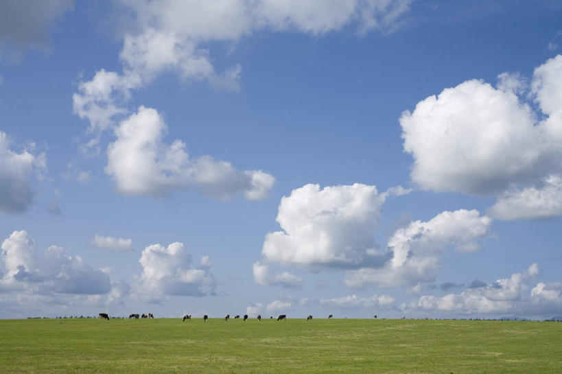 无人,农田,横图,全景,室外,白天,仰视,旅游,度假,庄稼,农作物,草地,草坪,美景,树林,天际线,植物,北海道,日本,亚洲,一排,朦胧,模糊,整齐,地平线,景观,云,云朵,辽阔,地面,云彩,娱乐,草,树,树木,排列,蓝色,绿色,白云,蓝天,天空,自然,天,享受,休闲,景色,放松,生长,晴朗,成长,一望无际,队列,自然风光,延伸,东亚,日本国,天地相交,北海道地方,北海道岛,美瑛町,美瑛,晴空,彩图,低角度拍摄,耕地,庄稼田