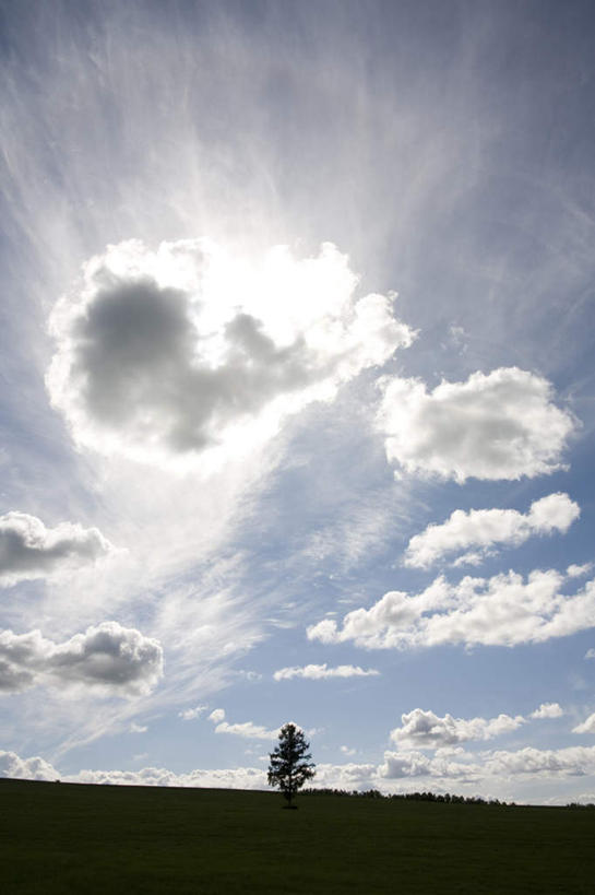 无人,农田,竖图,全景,室外,白天,仰视,旅游,度假,庄稼,农作物,美景,天际线,植物,北海道,日本,亚洲,阴影,朦胧,模糊,光线,影子,地平线,景观,云,云朵,辽阔,地面,云彩,娱乐,树,树木,蓝色,绿色,白云,蓝天,天空,阳光,自然,天,享受,休闲,景色,放松,生长,晴朗,成长,一望无际,自然风光,延伸,东亚,日本国,天地相交,北海道地方,北海道岛,美瑛町,美瑛,晴空,彩图,低角度拍摄,耕地,庄稼田