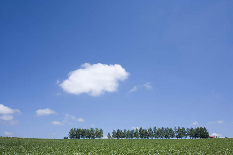 无人,农田,横图,全景,室外,白天,正面,旅游,度假,庄稼,农作物,草地,草坪,美景,树林,天际线,植物,北海道,日本,亚洲,一排,朦胧,模糊,整齐,地平线,景观,云,云朵,辽阔,地面,云彩,娱乐,草,树,树木,排列,蓝色,绿色,白云,蓝天,天空,自然,天,享受,休闲,景色,放松,生长,晴朗,成长,一望无际,队列,自然风光,延伸,东亚,日本国,天地相交,北海道地方,北海道岛,美瑛町,美瑛,晴空,彩图,耕地,庄稼田
