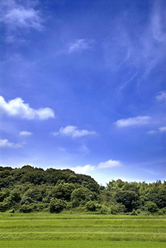 无人,竖图,室外,白天,正面,旅游,度假,草地,草坪,美景,树林,植物,日本,亚洲,朦胧,模糊,景观,云,云朵,云彩,娱乐,草,树,树木,蓝色,绿色,白云,蓝天,天空,自然,天,享受,休闲,景色,放松,大阪,生长,晴朗,成长,自然风光,东亚,本州,大阪府,本州岛,日本国,近畿地方,近畿,晴空,彩图