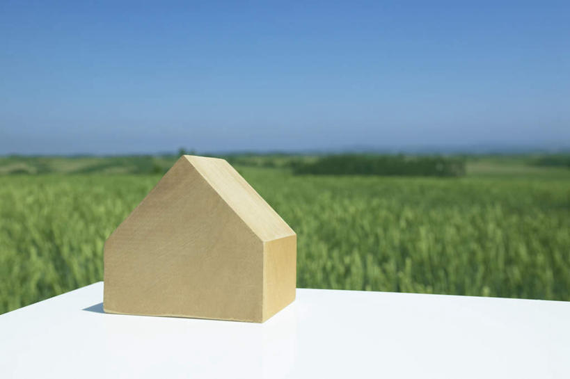 无人,家,木屋,横图,室外,特写,白天,正面,旅游,度假,草地,草坪,美景,植物,朦胧,模糊,立体,空间,地平线,景观,辽阔,地面,娱乐,住宅,草,蓝色,绿色,蓝天,天空,自然,模型,天,享受,休闲,景色,放松,规划,晴朗,一望无际,自然风光,延伸,万里无云,天地相交,直观,建筑模型,建筑设计,设计,晴空,晴空万里,彩图,茅舍,茅屋,棚屋,小木屋,小屋