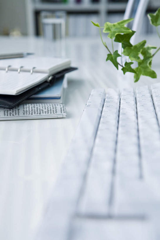 无人,办公室,竖图,俯视,室内,特写,白天,键盘,家具,桌子,静物,书籍,叶子,朦胧,模糊,办公桌,绿叶,记事本,输入设备,通讯设备,一个,本子,笔记本,打开,翻开,嫩叶,单个,通信设备,办公家具,叶,叶片,书,图书,彩图,高角度拍摄