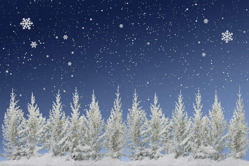 无人,横图,室外,夜晚,正面,数码,科技,森林,树林,星空,植物,夜景,阴影,朦胧,模糊,网络,冬季,高光,几何,计算机图形,合成,树,树木,蓝色,绿色,蓝天,天空,自然,天,寒冷,生长,晴朗,成长,电脑合成图,数码合成图,万里无云,写实,具体,具象,严寒,晴空,晴空万里,星夜,夜空,彩图