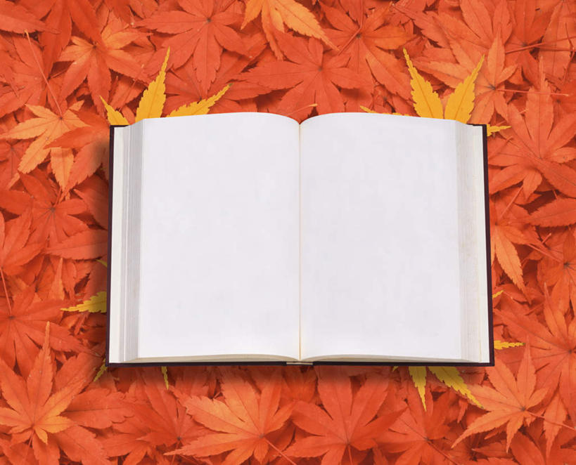 无人,横图,俯视,室内,特写,白天,书籍,叶子,一本,一堆,许多,堆叠,堆积,朦胧,模糊,枫叶,枯叶,落叶,黄色,红色,打开,枫树叶,堆,开启,叶,叶片,书,图书,彩图,高角度拍摄