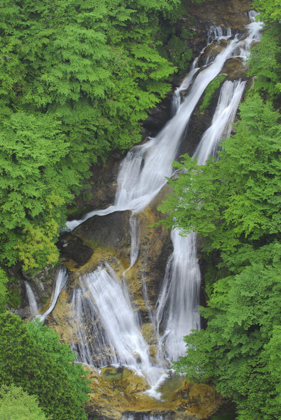 无人,竖图,室外,白天,正面,旅游,度假,草地,草坪,美景,瀑布,水,植物,日本,亚洲,飞溅,朦胧,模糊,溅,液体,景观,水滴,娱乐,水珠,草,树,树木,绿色,自然,享受,休闲,景色,放松,生长,成长,喷洒,自然风光,东亚,本州,关东地方,本州岛,日本国,栃木,栃木县,跌水,彩图