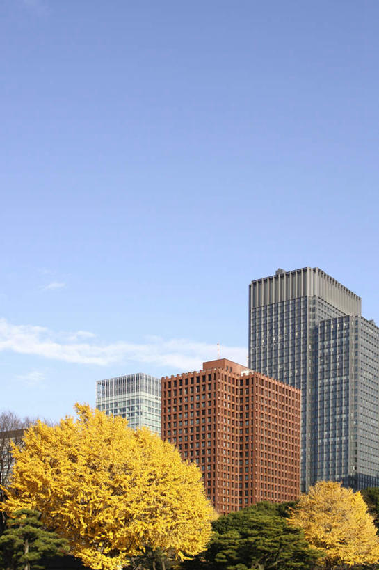 无人,高楼大厦,竖图,室外,白天,仰视,办公楼,植物,大厦,建筑,摩天大楼,写字楼,叶子,东京,日本,亚洲,许多,朦胧,模糊,云,云朵,草药,药草,云彩,中药,树,树木,树叶,黄色,蓝色,绿色,白云,蓝天,天空,自然,楼宇,天,银杏叶,商务楼,生长,晴朗,成长,药材,中草药,东亚,中药材,本草,本州,关东地方,本州岛,日本国,东京都,白果叶,叶片,晴空,彩图,低角度拍摄,大楼,高层建筑,高楼,摩天楼