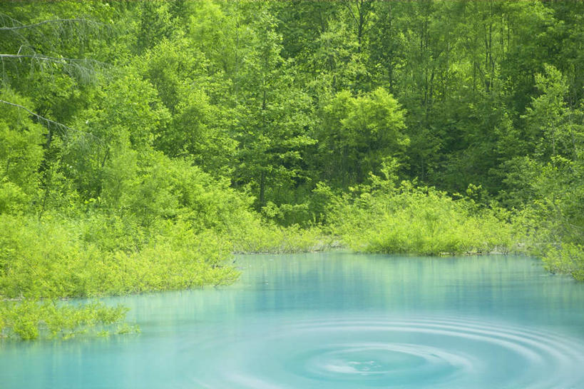 无人,横图,室外,白天,正面,旅游,度假,草地,草坪,河流,美景,水,植物,北海道,日本,亚洲,阴影,波纹,光线,影子,河水,景观,水流,娱乐,草,树,树木,绿色,水纹,阳光,自然,波浪,享受,休闲,景色,放松,生长,成长,自然风光,东亚,日本国,北海道地方,北海道岛,彩图
