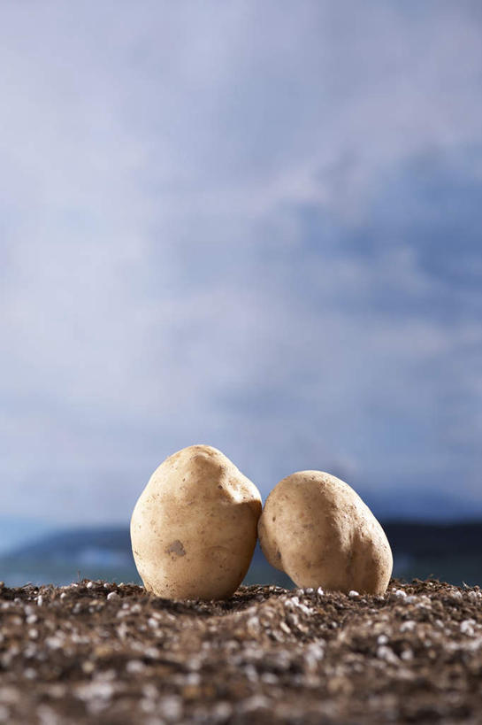 无人,竖图,室内,白天,正面,数码,科技,海浪,海洋,石头,蔬菜,土豆,阴影,新鲜,光线,网络,石子,椭圆,影子,浪花,云,云朵,食品,高光,几何,计算机图形,合成,云彩,食物,两个,黄色,蓝色,白云,蓝天,天空,阳光,海水,天,有机食品,绿色食品,电脑合成图,数码合成图,海景,写实,具体,具象,馍馍蛋,大海,风浪,海,海水的波动,近岸浪,石块,涌浪,洋芋,山药蛋,马铃薯,彩图