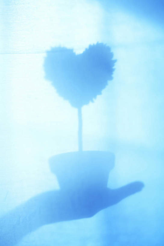 东方人,手,一个人,捧,摸,竖图,室内,特写,白天,正面,爱情,植物,窗户,落地窗,亚洲,仅一个年轻女性,仅一个女性,仅一个人,抚摸,握,阴影,爱心,朦胧,模糊,光线,盆栽,影子,盆景,浪漫,拿,拿着,黄种人,玻璃窗,一个,蓝色,绿色,阳光,自然,温暖,温馨,心形,手部,恩爱,握着,生长,单个,成长,和睦,年轻女性,女人,女性,亚洲人,心型,触摸,端,端着,接触,捧着,手捧,半身,彩图,融洽