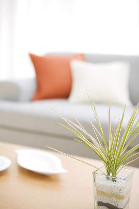 无人,家,客厅,竖图,室内,特写,白天,正面,植物,别墅,餐桌,窗户,家具,靠垫,落地窗,沙发,装修,桌子,建筑,餐具,欧式,阴影,朦胧,模糊,装饰,光线,碟子,盘,盆栽,影子,房屋,屋子,公寓,靠枕,盆景,豪华,建设,现代,装潢,洋房,楼房,玻璃窗,住宅,两个,红色,绿色,阳光,自然,盘子,垫子,碟,室内装潢,枕头,生长,成长,餐台,样板房,明亮,起居室,舒适,家居装潢,房屋设计,地中海风格,古典风格,简约风格,布艺沙发,室内设计,宽敞,样板房装潢,设计,彩图,房子