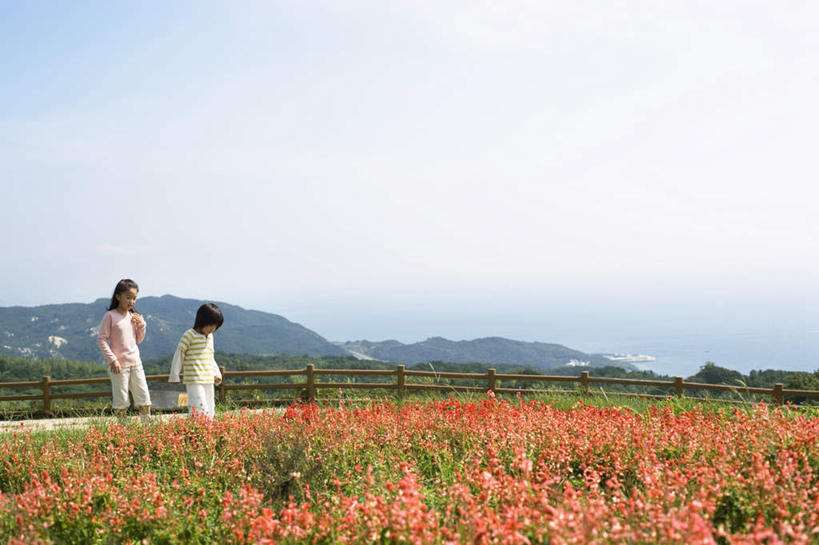 东方人,儿童,头发,两个人,伙伴,朋友,栏杆,站,笑,微笑,露齿笑,横图,室外,白天,正面,旅游,度假,友谊,纯洁,草地,草坪,山,山脉,植物,亚洲,阴影,服装,盛开,光线,影子,栅栏,篱笆,山峰,云,云朵,围栏,山峦,花蕾,云彩,注视,休闲装,黄种人,娱乐,护栏,草,花,花瓣,花朵,鲜花,树,树木,小孩,衣服,粉色,黄色,蓝色,绿色,黑色,白云,蓝天,天空,阳光,自然,群山,天,花苞,花蕊,低头,观察,看,站着,享受,休闲,休闲服,放松,可爱,童年,童趣,服饰,生长,成长,观看,察看,关注,童真,烂漫,无邪,天真,友情,女孩,女人,女性,亚洲人,站立,彩图,全身,女生