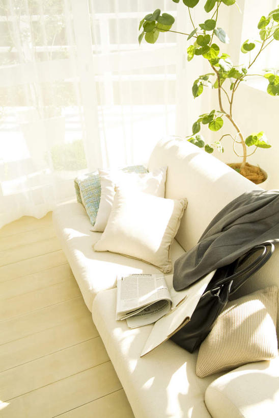 无人,客厅,竖图,俯视,室内,白天,衬衫,植物,窗户,地板,靠垫,落地窗,沙发,报纸,书籍,阴影,光线,信息,包,方格,盆栽,皮包,影子,墙,靠枕,盆景,地面,木地板,玻璃窗,墙壁,墙面,一个,绿色,黑色,阳光,自然,垫子,枕头,一件,生长,单个,成长,新闻,单肩包,起居室,布艺沙发,书,图书,彩图,高角度拍摄,衬衣,报刊