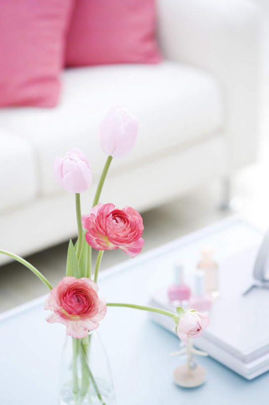 无人,客厅,竖图,俯视,室内,白天,爱情,幸福,纯洁,热情,电脑,笔记本电脑,靠垫,沙发,桌子,玫瑰,朦胧,模糊,盛开,网络,办公桌,墙,玫瑰花,靠枕,浪漫,花蕾,通讯设备,墙壁,墙面,花,花瓣,花朵,鲜花,两朵,两个,粉色,红色,垫子,枕头,花苞,花蕊,温暖,温馨,恩爱,和睦,无线,起居室,通信设备,无线网络,感动,布艺沙发,无线上网,便携式电脑,尊敬,天真,刺玫花,徘徊花,手提电脑,彩图,高角度拍摄,融洽