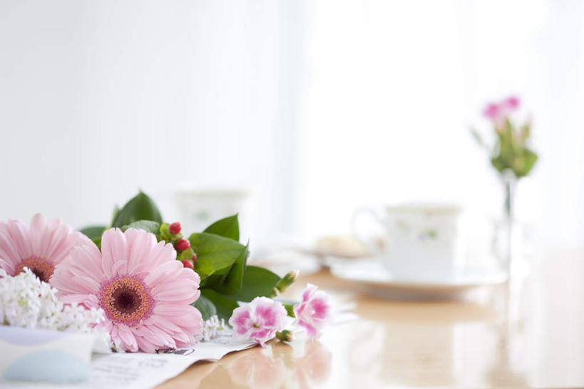 无人,客厅,横图,室内,特写,白天,正面,快乐,幸福,餐桌,窗户,落地窗,桌子,杯子,餐具,阴影,朦胧,模糊,盛开,光线,瓷器,碟子,盘,影子,墙,非洲雏菊,玛格丽特,咖啡杯,陶瓷制品,花蕾,玻璃窗,墙壁,墙面,雏菊,花,花瓣,花朵,鲜花,粉色,阳光,盘子,碟,花苞,花蕊,菊花,活力,餐台,希望,起居室,坚强,瓷杯,和平,离别,延命菊,幸福花,春菊,马兰头花,暗恋,纯情,单恋,天真,彩图,愉快