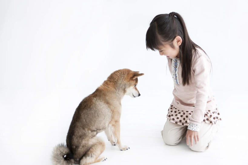 东方人,儿童,头发,一个人,蹲,笑,摸,微笑,露齿笑,横图,室内,白天,白色背景,侧面,纯洁,宠物,狗,亚洲,仅一个女性,仅一个人,撑,抚摸,服装,拉布拉多,注视,休闲装,黄种人,拉布拉多猎犬,一只,小孩,衣服,白色,黑色,动物,低头,观察,看,仅一个小孩,休闲,休闲服,可爱,童年,童趣,摄影,服饰,影棚,观看,察看,撑着,关注,拉布拉多犬,童真,烂漫,无邪,忠诚,天真,女孩,女人,女性,亚洲人,孩子,长发,犬,触摸,蹲着,接触,彩图,全身,影棚拍摄,拍摄,女生