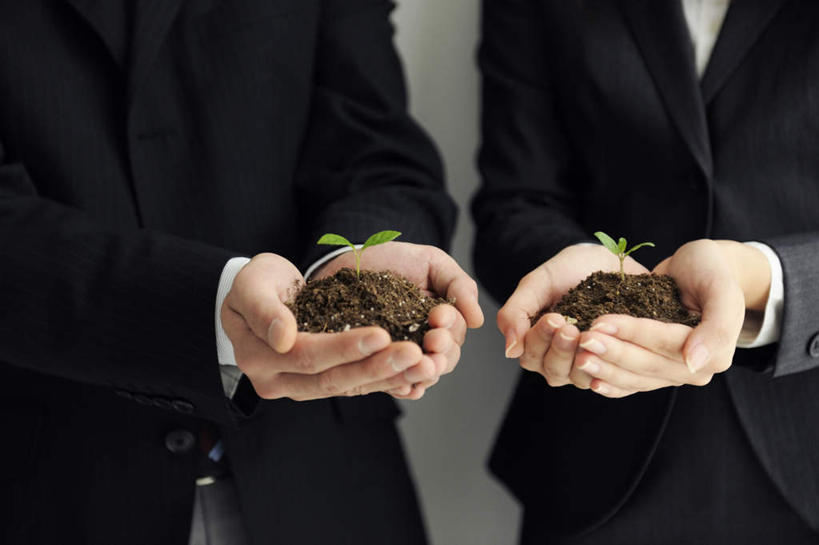 东方人,两个人,商务人士,商务男性,商务女性,站,捧,摸,横图,室内,白天,正面,衬衫,植物,叶子,亚洲,抚摸,握,阴影,套装,光线,盆栽,影子,泥土,土壤,褐色,绿叶,盆景,拿,拿着,黄种人,两个,绿色,阳光,自然,站着,嫩叶,握着,生长,成长,商务装,工薪阶层,秧苗,男人,男性,年轻男性,年轻女性,女人,女性,亚洲人,白领,上班族,叶,叶片,触摸,端,端着,接触,捧着,手捧,站立,半身,彩图,衬衣