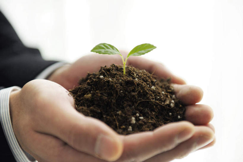 东方人,手,一个人,商务人士,商务男性,捧,摸,横图,俯视,室内,特写,白天,衬衫,植物,叶子,亚洲,仅一个男性,仅一个人,一堆,抚摸,握,堆叠,堆积,套装,朦胧,模糊,盆栽,泥土,土壤,褐色,绿叶,盆景,拿,拿着,黄种人,仅一个年轻男性,一个,绿色,自然,手部,嫩叶,握着,生长,单个,成长,堆,商务装,工薪阶层,秧苗,男人,男性,年轻男性,亚洲人,白领,上班族,叶,叶片,触摸,端,端着,接触,捧着,手捧,半身,彩图,高角度拍摄,衬衣