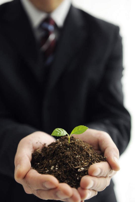 东方人,一个人,商务人士,商务男性,站,捧,摸,竖图,俯视,室内,白天,衬衫,植物,叶子,亚洲,仅一个男性,仅一个人,一堆,抚摸,握,阴影,堆叠,堆积,套装,光线,盆栽,影子,泥土,土壤,褐色,绿叶,盆景,拿,拿着,黄种人,仅一个年轻男性,绿色,阳光,自然,站着,嫩叶,握着,生长,成长,堆,商务装,工薪阶层,秧苗,男人,男性,年轻男性,亚洲人,白领,上班族,叶,叶片,触摸,端,端着,接触,捧着,手捧,站立,半身,彩图,高角度拍摄,衬衣