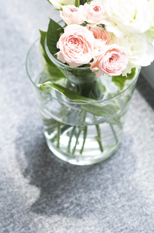 无人,竖图,俯视,室内,特写,白天,爱情,幸福,纯洁,热情,桌面,玫瑰,花瓶,叶子,阴影,盛开,光线,影子,绿叶,玫瑰花,浪漫,花蕾,玻璃制品,花,花瓣,花朵,鲜花,一个,阳光,玻璃瓶,瓶子,花苞,花蕊,温暖,温馨,嫩叶,恩爱,单个,和睦,感动,尊敬,天真,刺玫花,徘徊花,叶,叶片,彩图,高角度拍摄,融洽