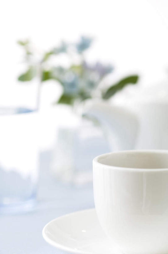 无人,竖图,俯视,室内,特写,白天,植物,桌面,杯子,餐具,阴影,朦胧,模糊,光线,瓷器,碟子,壶,盘,盆栽,影子,咖啡杯,盆景,陶瓷制品,水壶,一个,绿色,阳光,自然,盘子,茶壶,碟,生长,单个,成长,瓷杯,彩图,高角度拍摄