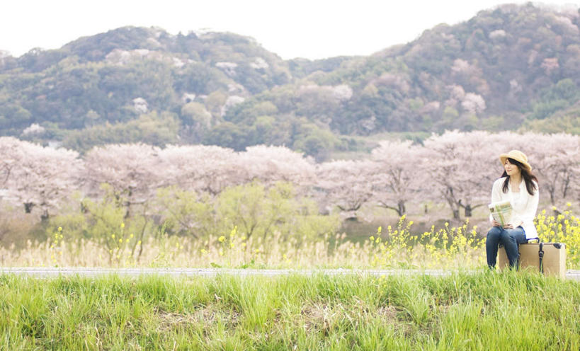 东方人,一个人,坐,笑,微笑,露齿笑,横图,室外,白天,侧面,旅游,度假,草地,草坪,植物,道路,路,樱花,帽子,亚洲,仅一个年轻女性,仅一个女性,仅一个人,阴影,服装,盛开,光线,拉杆箱,旅行箱,影子,小路,交通,花蕾,扭头,注视,休闲装,黄种人,娱乐,草,花,花瓣,花朵,鲜花,树,树木,一个,衣服,粉色,蓝色,绿色,白色,蓝天,天空,阳光,自然,行李箱,遮阳帽,箱子,天,花苞,花蕊,观察,看,转头,享受,休闲,休闲服,放松,服饰,乡间小路,生长,单个,成长,观看,出差,察看,关注,仙樱花,福岛樱,青肤樱,一顶,年轻女性,女人,女性,亚洲人,荆桃,坐着,彩图,全身,旅行