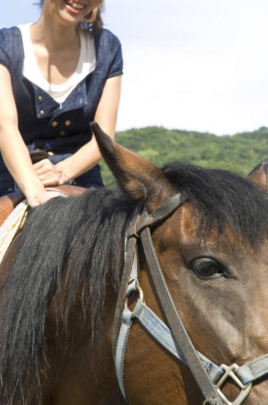 东方人,一个人,坐,摸,竖图,室外,白天,正面,锻炼,旅游,度假,运动,山,山脉,植物,马,野生动物,亚洲,仅一个年轻女性,仅一个女性,仅一个人,撑,抚摸,阴影,服装,光线,影子,山峰,云,云朵,褐色,山峦,云彩,注视,休闲装,黄种人,娱乐,一匹,树,树木,骑,衣服,蓝色,绿色,白云,蓝天,天空,阳光,自然,动物,群山,天,观察,看,享受,休闲,休闲服,放松,运输,服饰,牲畜,生长,成长,观看,察看,撑着,关注,室外运动,户外运动,年轻女性,女人,女性,亚洲人,触摸,接触,坐着,半身,彩图,健身