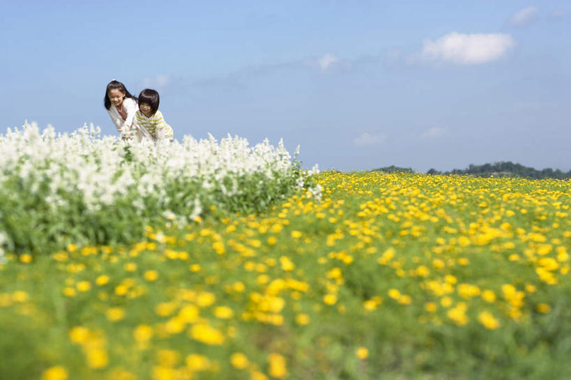 东方人,儿童,头发,两个人,家庭,母亲,儿子,站,蹲,笑,微笑,露齿笑,横图,室外,白天,正面,旅游,度假,游戏,纯洁,草地,草坪,植物,亚洲,阴影,服装,光线,影子,云,云朵,玩,云彩,注视,休闲装,黄种人,娱乐,草,小孩,衣服,黄色,蓝色,绿色,白色,黑色,白云,蓝天,天空,阳光,天,油菜花,观察,看,站着,享受,休闲,温暖,温馨,母子,一家人,休闲服,放松,可爱,母爱,童年,童趣,服饰,观看,活动,和睦,察看,发泄,关注,消遣,智力,童真,烂漫,无邪,宣泄,天真,男孩,年轻女性,女人,女性,亚洲人,孩子,年轻人,蹲着,玩耍,嬉戏,站立,半身,彩图,融洽,男生