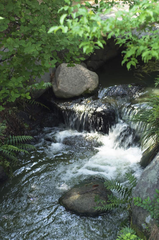 无人,竖图,俯视,室外,白天,旅游,度假,河流,石头,美景,水,植物,阴影,光线,石子,影子,河水,景观,水流,娱乐,树,树木,绿色,小溪,阳光,自然,溪水,享受,休闲,景色,放松,流动,生长,成长,自然风光,石块,彩图,高角度拍摄