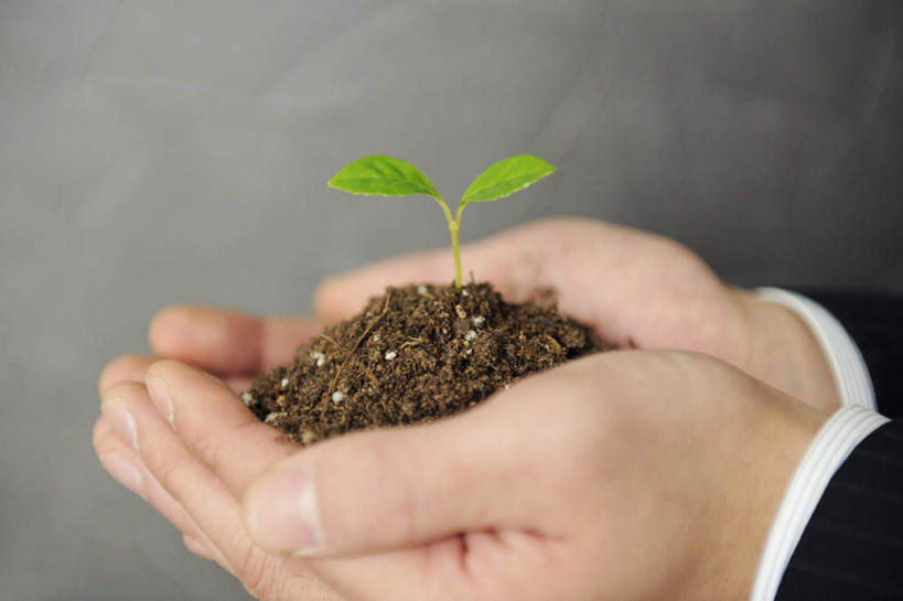 东方人,一个人,商务人士,商务男性,站,捧,横图,室内,白天,白色背景,侧面,衬衫,植物,叶子,亚洲,仅一个男性,仅一个人,套装,绿叶,领带,黄种人,仅一个年轻男性,绿色,站着,嫩叶,摄影,影棚,生长,成长,生机,希望,商务装,工薪阶层,年轻男性,亚洲人,年轻人,白领,上班族,叶,叶片,端,端着,捧着,手捧,站立,半身,彩图,影棚拍摄,衬衣,拍摄