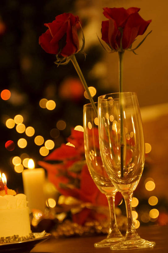 无人,横图,室内,特写,白天,正面,爱情,幸福,纯洁,热情,桌子,玫瑰,静物,蜡烛,盛开,火焰,烛光,办公桌,玫瑰花,浪漫,燃烧,花蕾,花,花瓣,花朵,鲜花,两朵,红色,花苞,花蕊,点燃,温暖,温馨,恩爱,和睦,感动,尊敬,天真,刺玫花,徘徊花,彩图,融洽