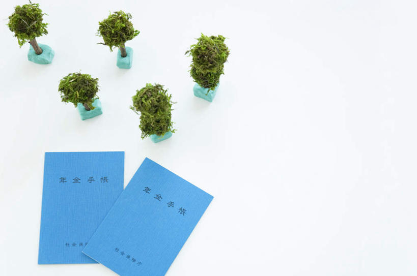 无人,横图,俯视,室内,特写,白天,白色背景,植物,静物,一排,许多,整齐,日文,标志,盆栽,文字,字符,盆景,标识,排列,蓝色,绿色,自然,摄影,影棚,生长,成长,两本,队列,日语,彩图,高角度拍摄,影棚拍摄,拍摄