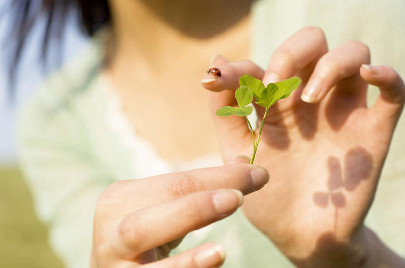 东方人,手,一个人,站,横图,室外,特写,白天,正面,叶子,亚洲,双手,仅一个年轻女性,仅一个女性,仅一个人,阴影,服装,朦胧,模糊,光线,影子,绿叶,拿,拿着,休闲装,黄种人,衣服,阳光,站着,休闲,手部,休闲服,嫩叶,服饰,生机,希望,年轻女性,女人,女性,亚洲人,叶,叶片,站立,半身,彩图