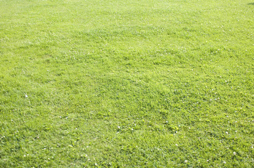 无人,横图,俯视,室外,白天,旅游,度假,草地,草坪,美景,植物,阴影,光线,影子,景观,娱乐,草,绿色,阳光,自然,享受,休闲,景色,放松,自然风光,彩图,高角度拍摄