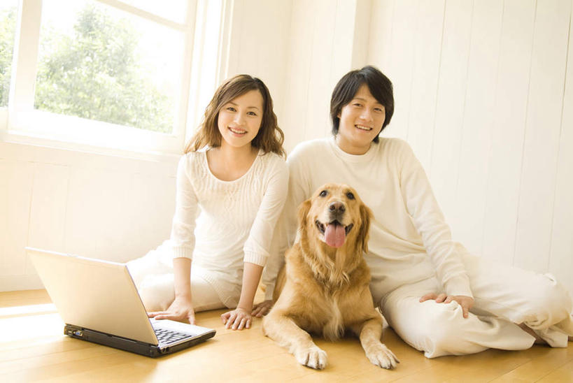 东方人,两个人,夫妻,坐,笑,微笑,露齿笑,横图,室内,白天,正面,爱情,电脑,笔记本电脑,窗户,地板,卧室,亚洲,一条,服装,网络,地面,浪漫,注视,休闲装,黄种人,通讯设备,金毛犬,木地板,玻璃窗,衣服,白色,观察,看,休闲,休闲服,恩爱,恋人,服饰,金毛,观看,察看,无线,关注,寻回犬,通信设备,无线网络,无线上网,便携式电脑,金毛寻回犬,手提电脑,男人,男性,年轻男性,年轻女性,女人,女性,亚洲人,夫妇,情侣,坐着,半身,彩图,睡房,卧房,伴侣