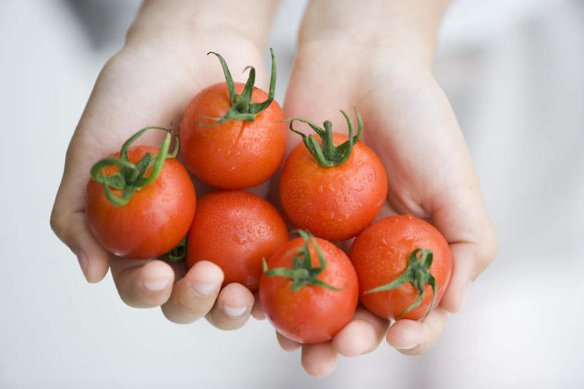 东方人,一个人,捧,横图,俯视,室外,特写,白天,蔬菜,西红柿,亚洲,仅一个年轻女性,仅一个女性,仅一个人,服装,朦胧,模糊,新鲜,食品,休闲装,黄种人,食物,衣服,红色,休闲,休闲服,服饰,有机食品,绿色食品,年轻女性,女人,女性,亚洲人,番茄,端,端着,捧着,手捧,半身,彩图,高角度拍摄