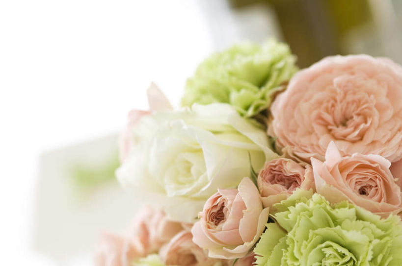 无人,横图,室内,特写,白天,仰视,爱情,幸福,纯洁,热情,康乃馨,玫瑰,许多,朦胧,模糊,盛开,玫瑰花,浪漫,花蕾,花,花瓣,花朵,鲜花,粉色,绿色,花苞,花蕊,温暖,温馨,恩爱,和睦,感动,尊敬,天真,刺玫花,徘徊花,麝香石竹,石竹,香石竹,彩图,低角度拍摄,融洽