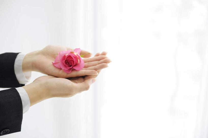 东方人,一个人,商务人士,商务女性,捧,横图,俯视,室内,特写,白天,爱情,幸福,纯洁,热情,玫瑰,亚洲,仅一个年轻女性,仅一个女性,仅一个人,套装,盛开,玫瑰花,浪漫,花蕾,黄种人,花,花瓣,花朵,鲜花,粉色,花苞,花蕊,温暖,温馨,恩爱,和睦,商务装,感动,工薪阶层,尊敬,天真,刺玫花,徘徊花,年轻女性,女人,女性,亚洲人,白领,上班族,端,端着,捧着,手捧,半身,彩图,高角度拍摄,融洽