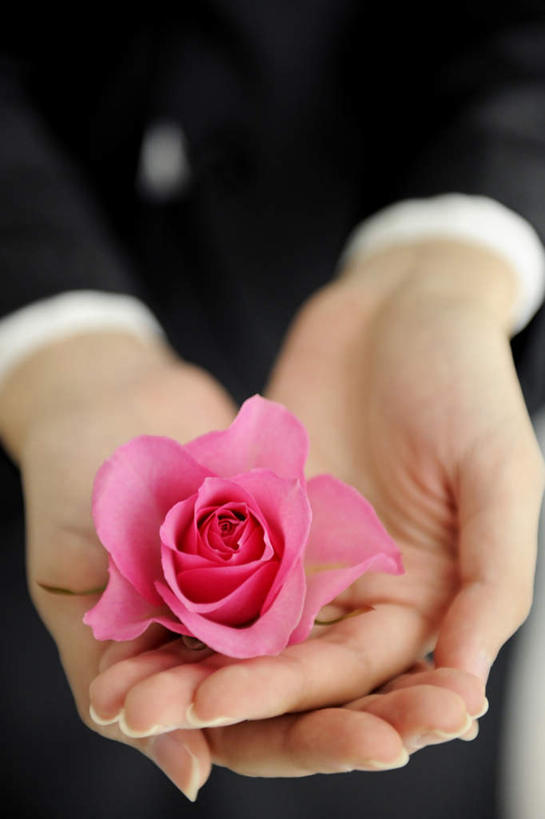 东方人,一个人,商务人士,商务男性,捧,竖图,俯视,室内,特写,白天,衬衫,爱情,幸福,纯洁,热情,玫瑰,亚洲,仅一个年轻女性,仅一个女性,仅一个人,套装,朦胧,模糊,玫瑰花,浪漫,黄种人,温暖,温馨,恩爱,和睦,商务装,感动,工薪阶层,尊敬,天真,刺玫花,徘徊花,年轻女性,女人,女性,亚洲人,白领,上班族,端,端着,捧着,手捧,半身,彩图,高角度拍摄,衬衣,融洽