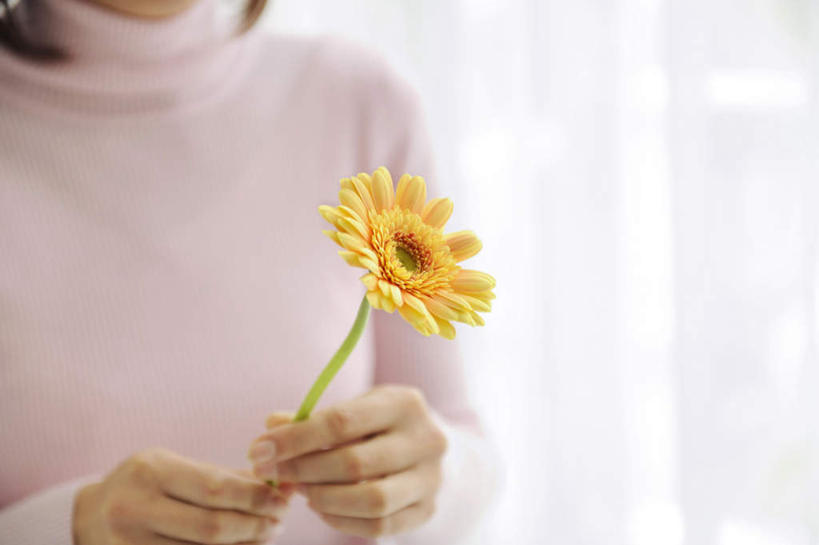 东方人,一个人,站,横图,俯视,室内,特写,白天,窗帘,亚洲,仅一个年轻女性,仅一个女性,仅一个人,握,服装,朦胧,模糊,装饰,盛开,非洲菊,拿,花蕾,拿着,休闲装,黄种人,花,花瓣,花朵,鲜花,一朵,衣服,粉色,黄色,白色,帘子,花苞,花蕊,站着,休闲,休闲服,遮阳,菊花,握着,服饰,华丽,修饰,点缀,扶郎花,灯盏花,千日菊,衬托,美观,雅致,雅观,年轻女性,女人,女性,亚洲人,站立,半身,彩图,高角度拍摄