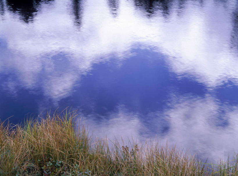 无人,横图,俯视,室外,白天,旅游,度假,草地,草坪,湖,湖泊,美景,秋季,水,植物,日本,亚洲,湖面,景观,水流,水面,云,云朵,云彩,娱乐,草,黄色,蓝色,绿色,白云,倒影,蓝天,天空,自然,湖水,天,享受,休闲,景色,放松,晴朗,自然风光,东亚,本州,关东地方,本州岛,日本国,群马,群马县,晴空,秋,秋天,彩图,高角度拍摄