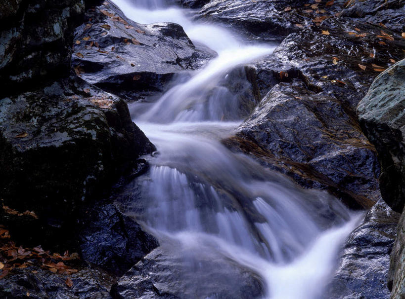 无人,横图,俯视,室外,白天,旅游,度假,礁石,石头,美景,瀑布,秋季,水,叶子,日本,亚洲,飞溅,溅,石子,液体,景观,水滴,枯叶,落叶,娱乐,水珠,自然,享受,休闲,景色,放松,喷洒,自然风光,东亚,本州,茨城,茨城县,关东地方,本州岛,日本国,叶,叶片,跌水,礁,石块,岩石,秋,秋天,彩图,高角度拍摄