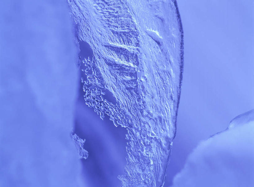 无人,横图,室外,特写,白天,正面,旅游,度假,美景,长野县,日本,亚洲,吊挂,悬挂,朦胧,模糊,清澈,冰,景观,冰块,冰柱,挂,娱乐,自然,享受,休闲,景色,放松,寒冷,冰冷,自然风光,东亚,本州,本州岛,日本国,中部地方,长野,严寒,冰凉,酷寒,凛冽,凛凛,极冷,清亮,彩图