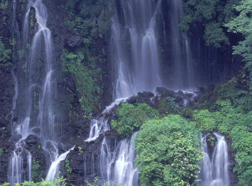 无人,横图,室外,白天,仰视,旅游,度假,礁石,石头,美景,瀑布,水,植物,静冈县,日本,亚洲,许多,飞溅,湍急,溅,石子,液体,景观,水滴,苔藓,娱乐,水珠,绿色,自然,享受,休闲,景色,放松,喷洒,自然风光,东亚,本州,本州岛,日本国,中部地方,静冈,跌水,礁,石块,岩石,彩图,低角度拍摄