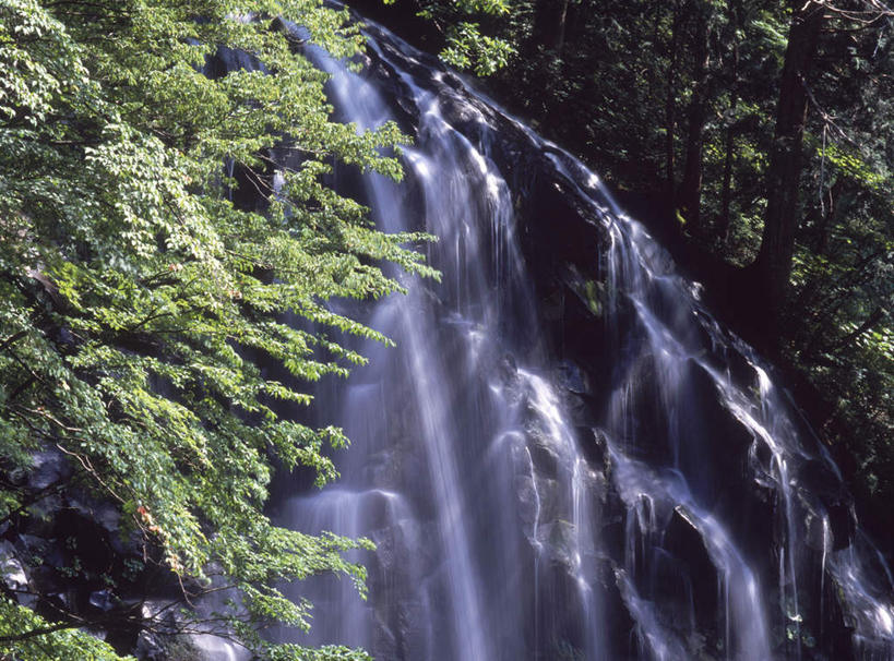 无人,横图,室外,白天,正面,长时间曝光,旅游,度假,石头,美景,瀑布,森林,树林,水,植物,叶子,阴影,飞溅,溅,光线,石子,液体,影子,景观,水滴,绿叶,娱乐,水珠,树,树木,树枝,绿色,阳光,自然,享受,休闲,嫩叶,景色,放松,生长,成长,喷洒,自然风光,曝光,暴光,叶,叶片,跌水,石块,岩石,彩图