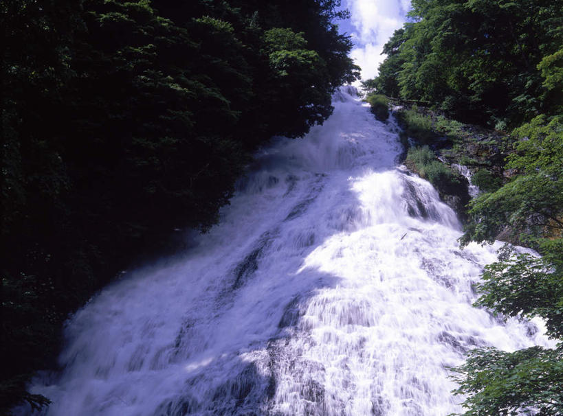 无人,横图,室外,白天,仰视,旅游,度假,河流,美景,森林,树林,水,植物,日本,亚洲,阴影,光线,影子,河水,景观,水流,云,云朵,云彩,娱乐,树,树木,蓝色,绿色,白云,蓝天,天空,小溪,阳光,自然,天,溪水,享受,休闲,景色,放松,生长,成长,自然风光,东亚,本州,关东地方,本州岛,日本国,栃木,栃木县,彩图,低角度拍摄