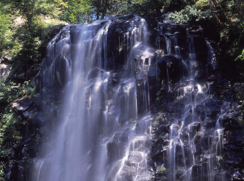 无人,横图,室外,白天,正面,长时间曝光,旅游,度假,石头,美景,瀑布,森林,树林,水,植物,秋田县,日本,亚洲,阴影,飞溅,溅,光线,石子,液体,影子,景观,水滴,娱乐,水珠,树,树木,绿色,阳光,自然,享受,休闲,景色,放松,生长,成长,喷洒,自然风光,曝光,东亚,本州,本州岛,日本国,秋田,东北地方,暴光,跌水,石块,岩石,彩图