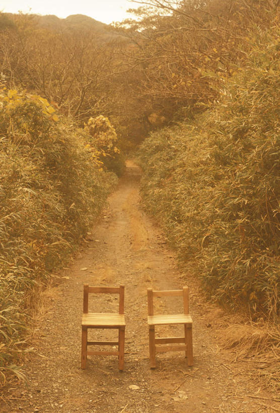 无人,竖图,室外,白天,正面,旅游,度假,美景,日落,植物,道路,路,椅子,阴影,光线,木制,影子,木椅,景观,晚霞,霞光,落日,小路,交通,两把,娱乐,树,树木,绿色,阳光,自然,黄昏,木制品,享受,休闲,景色,彩霞,放松,乡间小路,生长,成长,自然风光,夕照,夕阳,彩图,斜阳