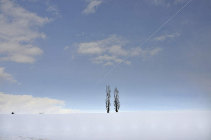 无人,横图,室外,白天,仰视,旅游,度假,美景,树林,雪,植物,大雪,北海道,日本,亚洲,地平线,积雪,景观,雪景,烟雾,云,云朵,冬季,冬天,辽阔,地面,云彩,娱乐,树,树木,蓝色,绿色,白云,蓝天,天空,自然,天,享受,休闲,广阔,景色,放松,寒冷,生长,成长,一望无际,污染,废气,自然风光,延伸,东亚,飞机尾迹,尾迹云,机尾云,飞机拉烟,云带,尾迹,日本国,天地相交,北海道地方,北海道岛,机尾迹,飞机尾气,严寒,无边无际,一马平川,彩图,低角度拍摄